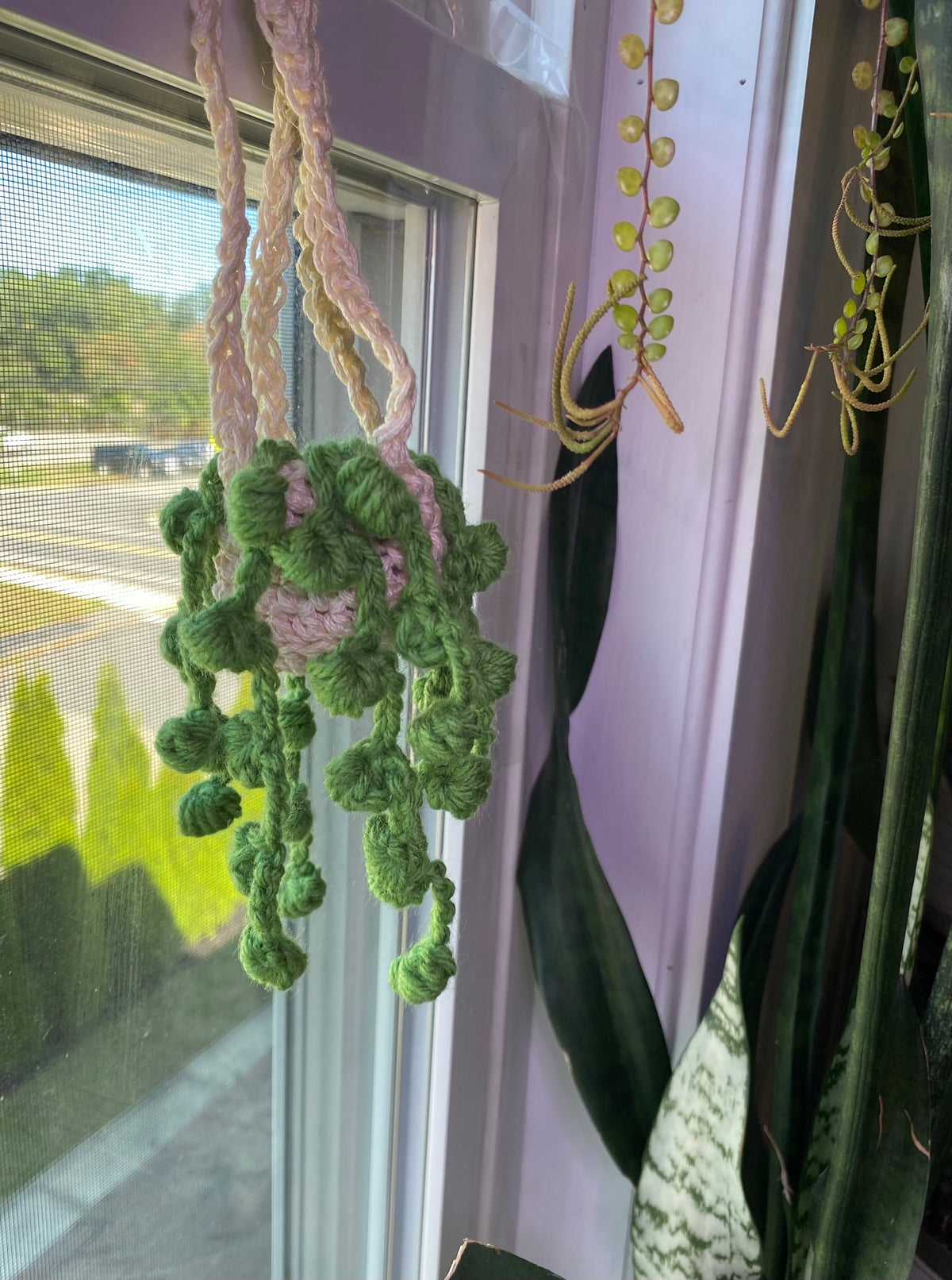 String of Pearls Mini Hanging Plant - Handmade, Crochet