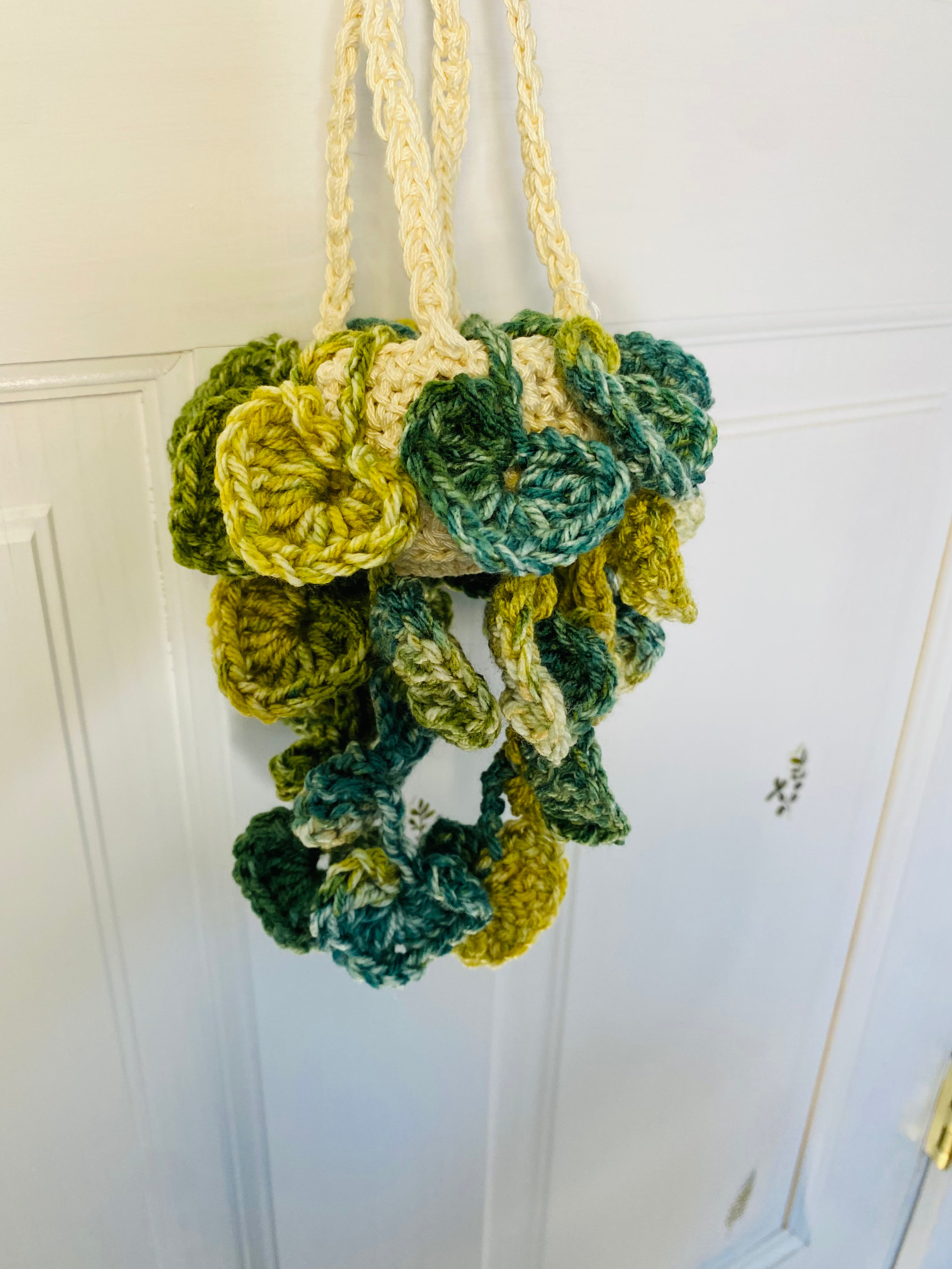 Crochet plant