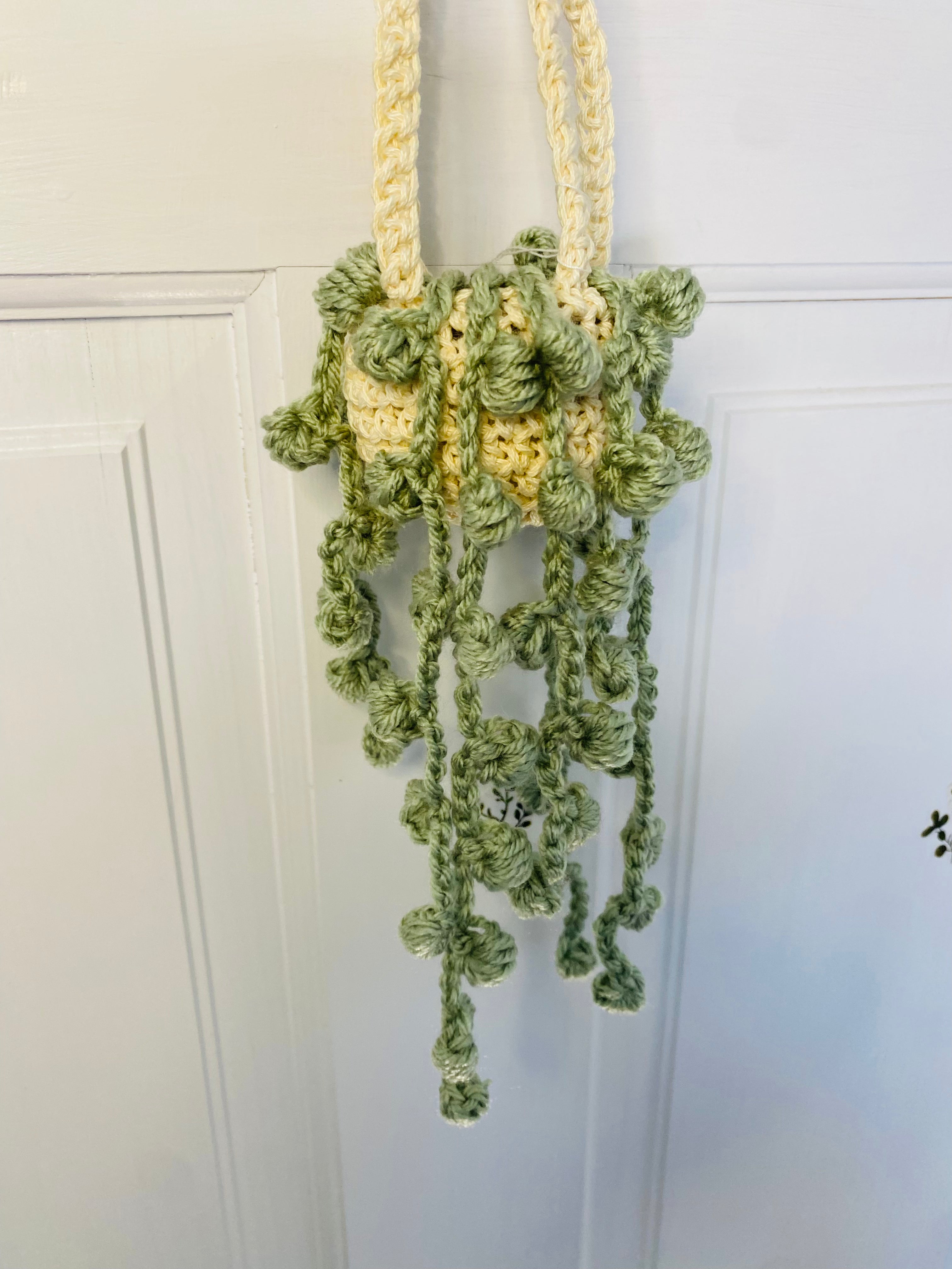Crochet plant