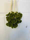 Crochet plant