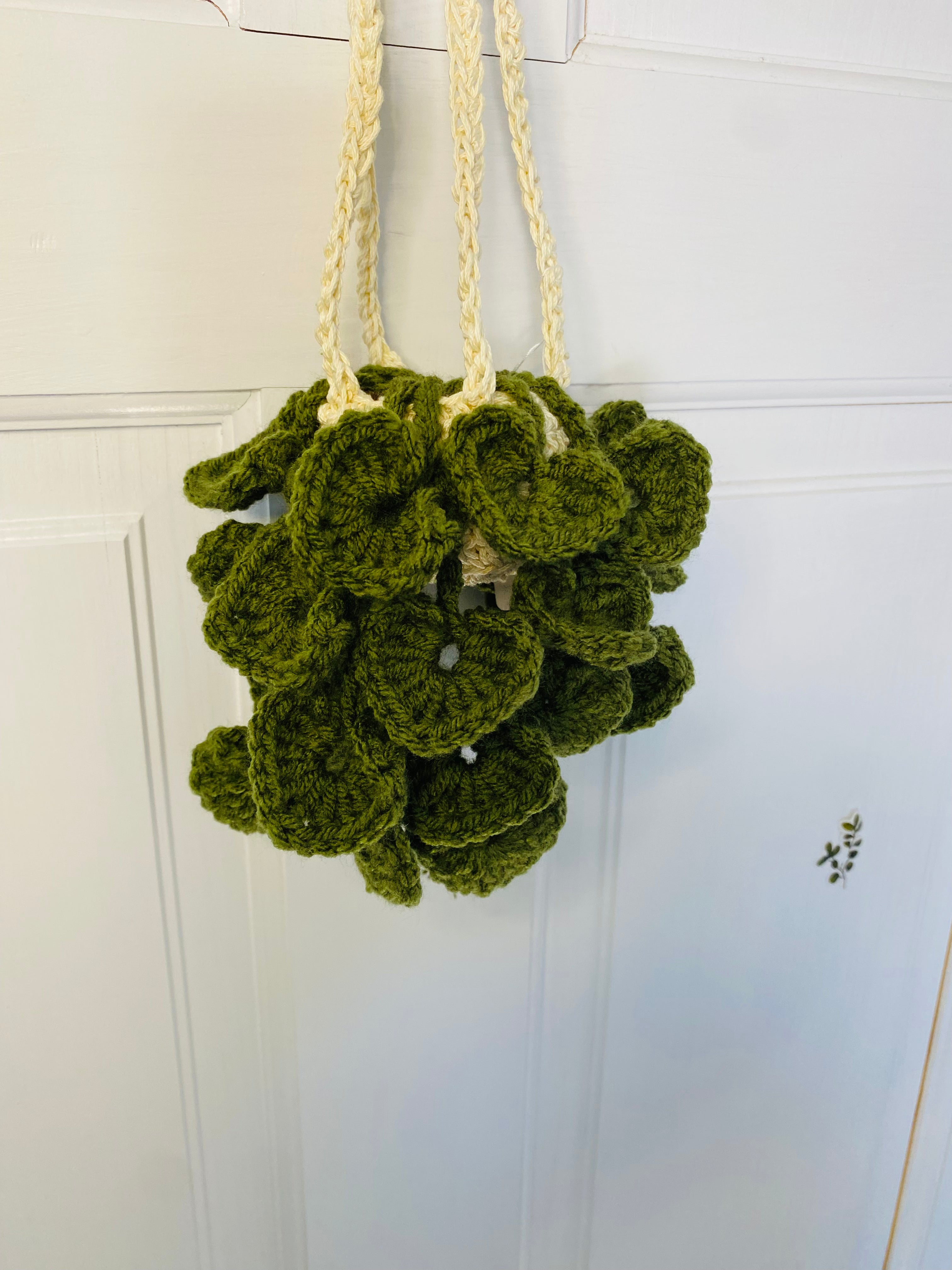 Crochet plant