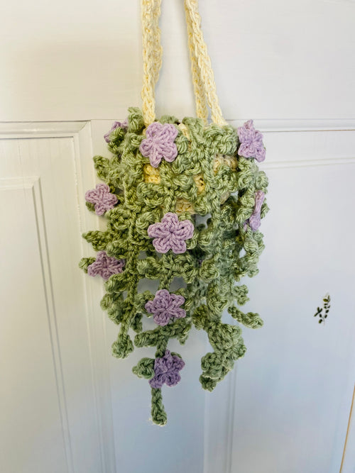 Ivy with Flowers Hanging Plant