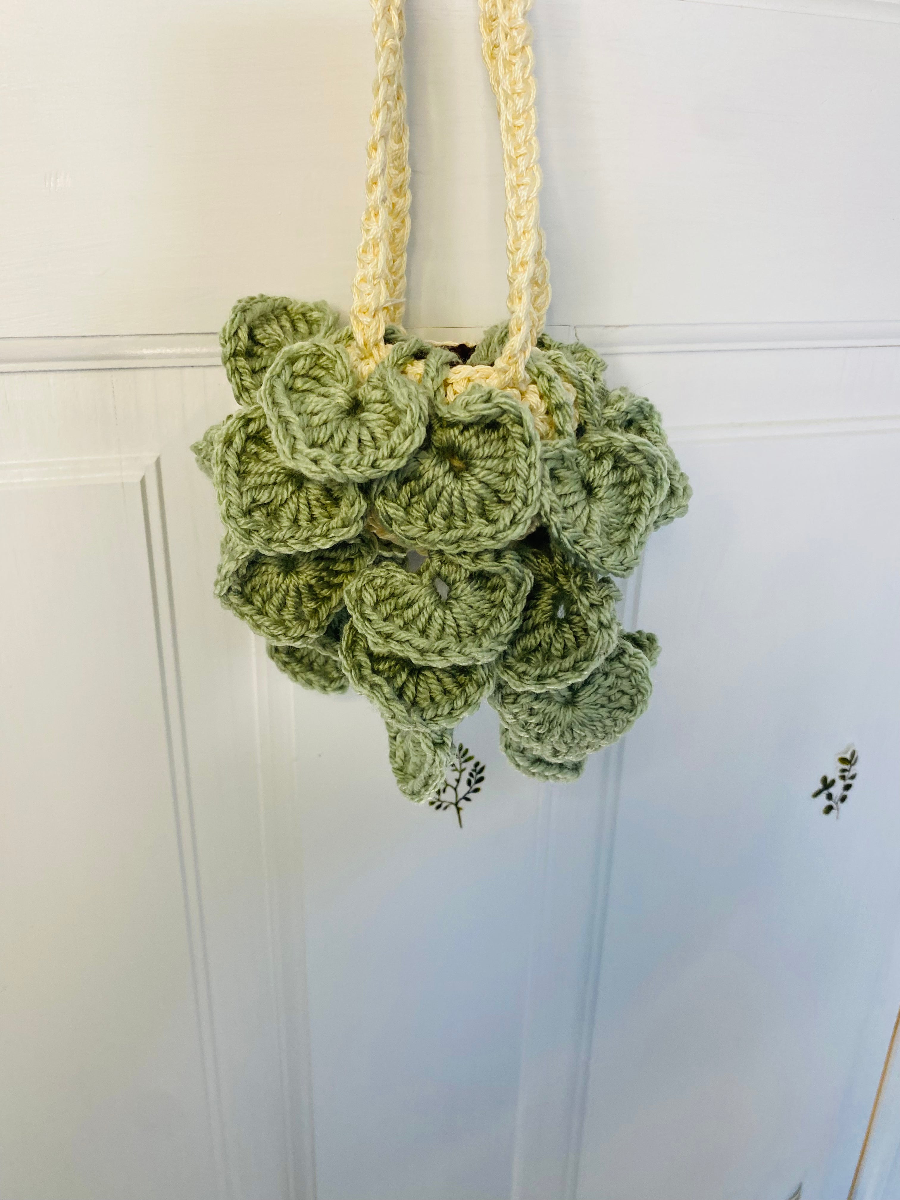 Crochet plant