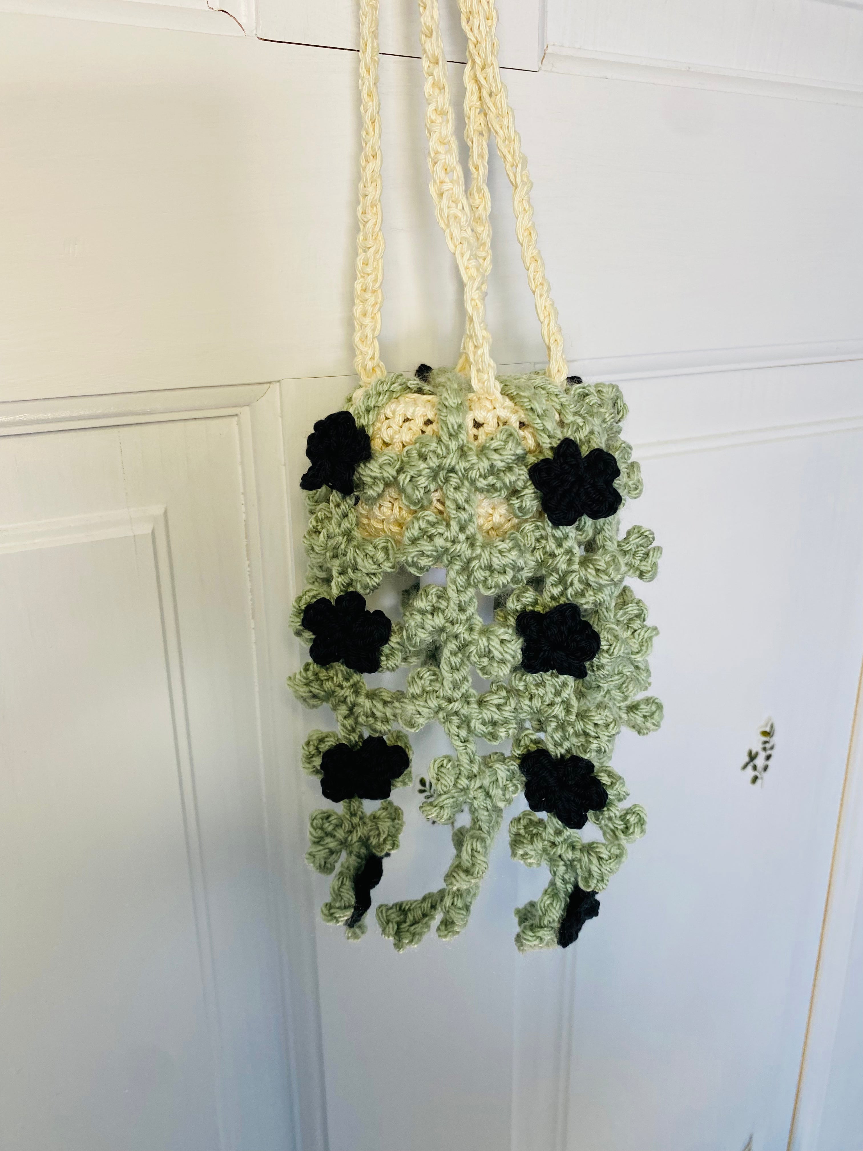 Ivy with Flowers Hanging Plant