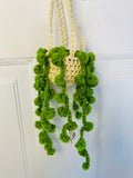 Crochet plant