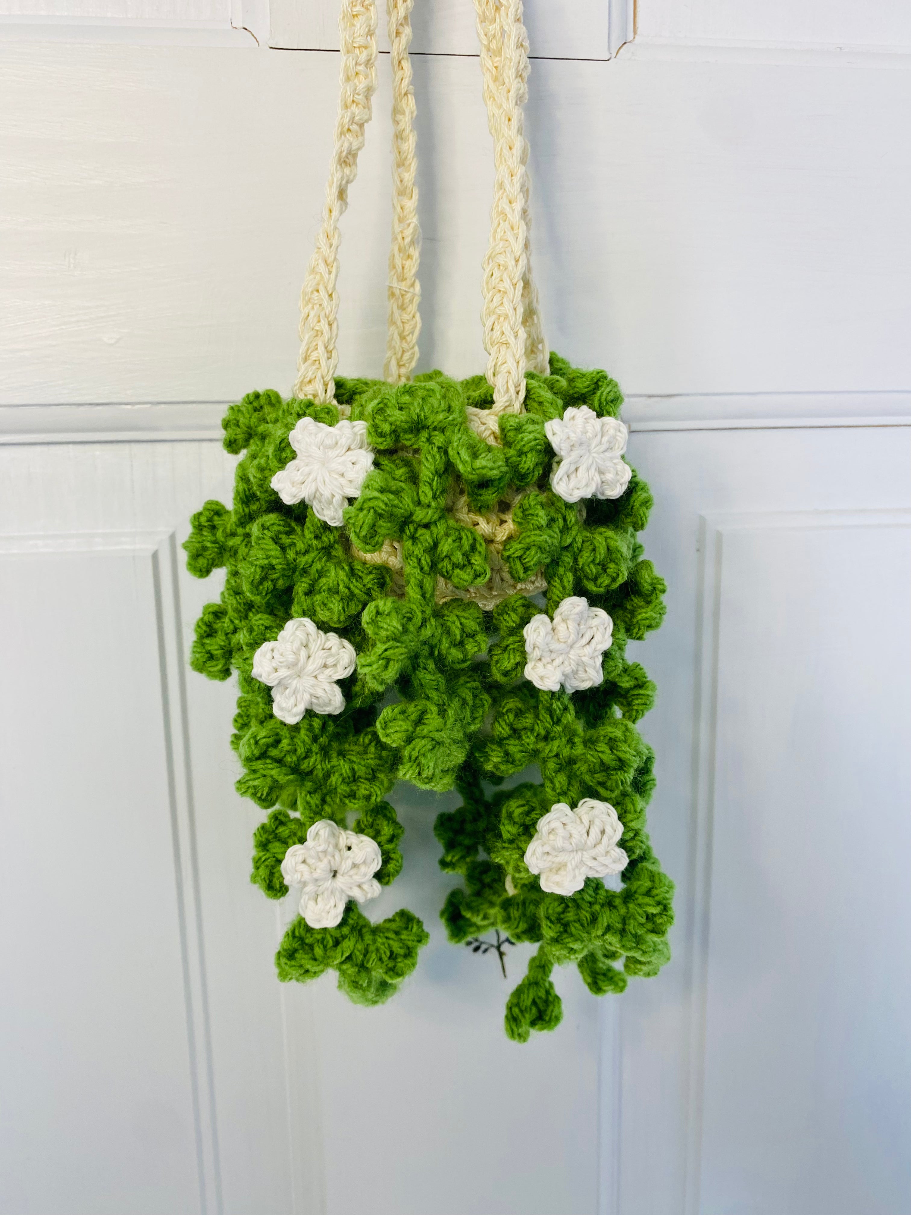 Ivy with Flowers Hanging Plant