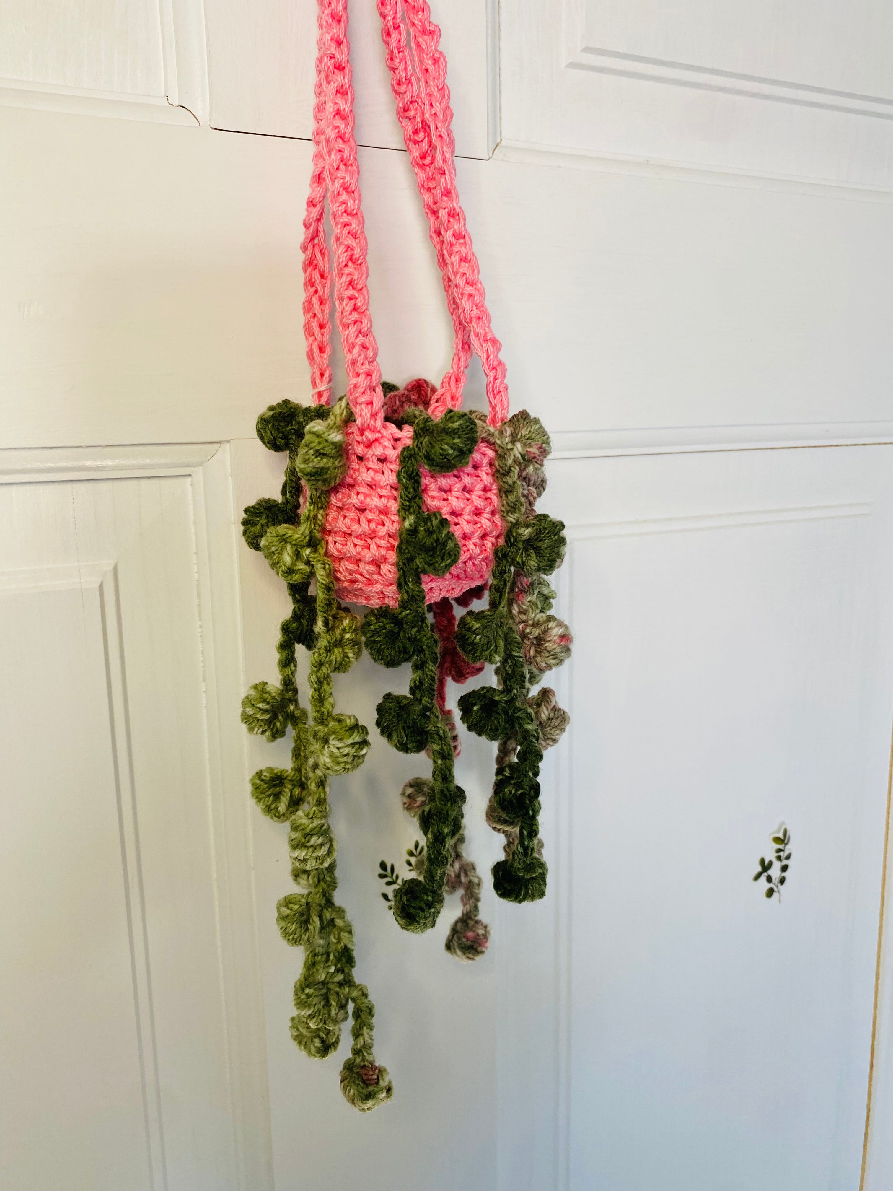 String of Pearls Hanging Plant