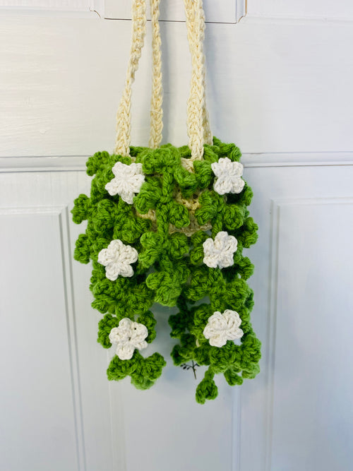 MINI Ivy with Flowers Hanging Plant