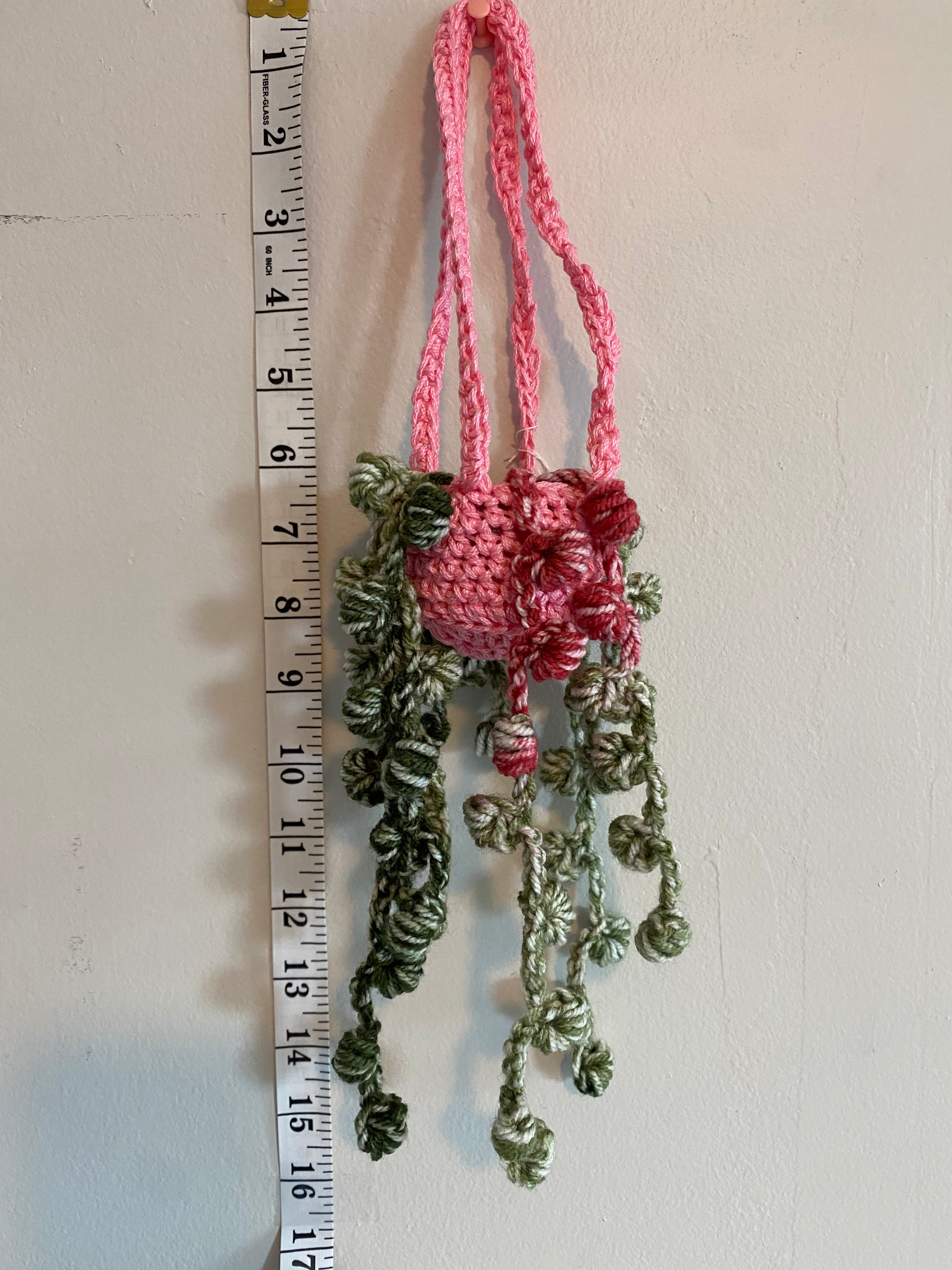 String of Hearts Hanging Plant